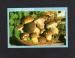 Carte postale champignon : les cpes