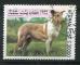 Timbre AFGHANISTAN 1999  Obl  N 1858 Mi.  Chiens