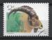 CHINE - 1991 - Yt n 3052 - Ob - Capra ibex