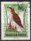 Hongrie 1962 - Oiseau : aigle bott, poste arienne, 80 f - YT A 253 