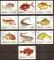 oman - 10 timbres obliters,poissons - 1972