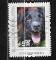 France Collector Les timbres de la SPA - Les chiens oblitr 