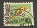 Tanzanie 1967 - Y&T 24 obl.