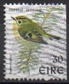 IRLANDE N 1136 o Y&T 1999 Oiseaux (Roitelet) 