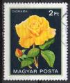 HONGRIE N 2808 o Y&T 1982 Fleurs (Roses Diorama)