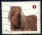 Belgique 2012 Oblitr Used Cheval Poney Equus Ferus Caballus sur fragment