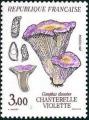 YT. 2489 - Neuf - Chanterelle violette