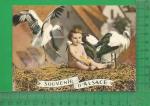 CPM   BAS RHIN : Souvenir d'Alsace, Bb dans un nid de cigognes 