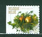 Belgique 2009 Y&T 3763 oblitr Nouvel An ND Gauche dh