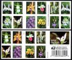 USA 2020 Wild Orchids,booklet of 20 FIRST-CLASS FOREVER stamps,MNH