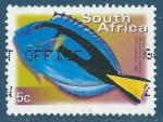Afrique du Sud N1127C Chirurgien bleu oblitr