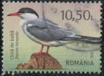 Roumanie 2021 Oblitr Oiseau Sterna hirundo Sterne pierregarin Y&T RO 6679 SU