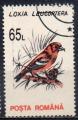 ROUMANIE N 4071 o Y&T 1993 Oiseaux (Loxia leucoptera)