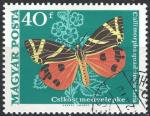 HONGRIE - 1969 - Yt n 2034 - Ob - Papillons : callimorpha