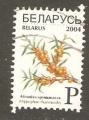 Belarus - Y&T 480