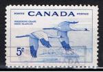 Canada / 1955 / Grue blanche / YT n 280 oblitr