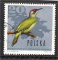 Poland - Scott 1453  bird / oiseau