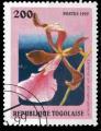 Togo Yvert N1688CF Oblitr 1999 Orchide 
