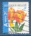 Belgique N3391 Tulipe Darwin Gudoshnik oblitr (dentel droite-bas-gauche)