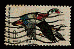 Etats-Unis 1968 - YT 865 - oblitr - canard branchu