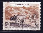 Cameroun. 1956. N 300. Obli.