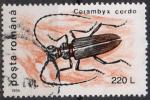 ROUMANIE N 4314 o Y&T 1996 Insectes (Cerambyx cerdo)