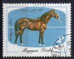 HONGRIE N 2989 o Y&T 1985 Bicentenaire de l'levage de chevaux