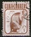 **    CUBA    5 c  1981  YT-2318  " Hutia de Cuba "  (o)   **