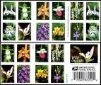 USA Scott #5435-5444 2020 Wild Orchids,Booklet of 20,MNH