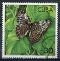 Timbre de CUBA 1982  Obl  N 2334  Y&T  Papillon  