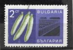 Timbre Bulgarie Oblitr / 1967 / Y&T N1518.