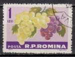 EURO - 1963 - Yvert n 1933 -  Raisins (Vitis vinifera)