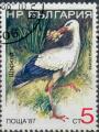 Bulgarie 1987 - Oiseau : Cigogne blanche, 5 cm - YT 3223 