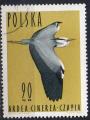 POLOGNE N 1351 o Y&T 1966 Oiseaux (Hron cendr)