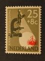 Pays-Bas 1955 - Y&T 643 neuf *