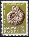 HONGRIE N 2060 o Y&T 1969 Fossiles (Ammonites)
