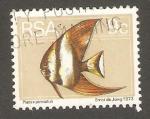 South Africa - Scott 416   fish / poison