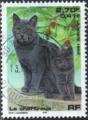 France 1999 - Nature de France : chat le chartreux - YT 3283 