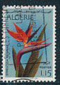 Algrie 1973 - Y&T 571 - oblitr - oiseau paradis
