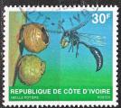 COTE D'IVOIRE N 508C de 1979 oblitr  