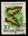 Hongrie 1959 - YT 1321 - oblitr - papillon machaon de l'ancie monde