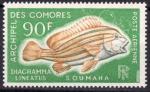 1968 COMORES archipel PA n** 24