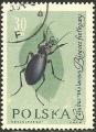 Polonia 1962.- Insectos. Y&T 1141. Scott 1030. Michel 1278.