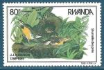 Rwanda n1185 Audubon - sturnelles des prs neuf**