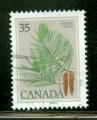 Canada 1979 Y&T 698 oblitr Arbre - Pinus strobus