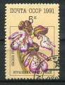 Timbre Russie & URSS 1991  Obl  N 5852   Y&T   Fleurs