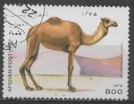 AFGHANISTAN N 1521 o Y&T 1997 Les camlids (Camelus dromedrarius)