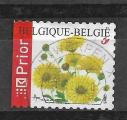 Belge N 3417  fleurs  chrysanthme  2005