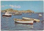 Carte Postale Moderne Italie - Isola d'Elba