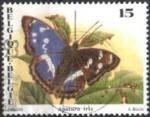Belgique/Belgium 1993 - Papillon : apatura iris - YT 2504 